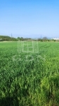 For sale agricultural area Miskolc, 24526m2