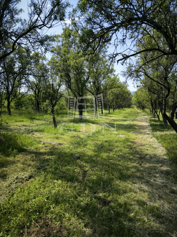 Vânzare Pomáz Zona agricola