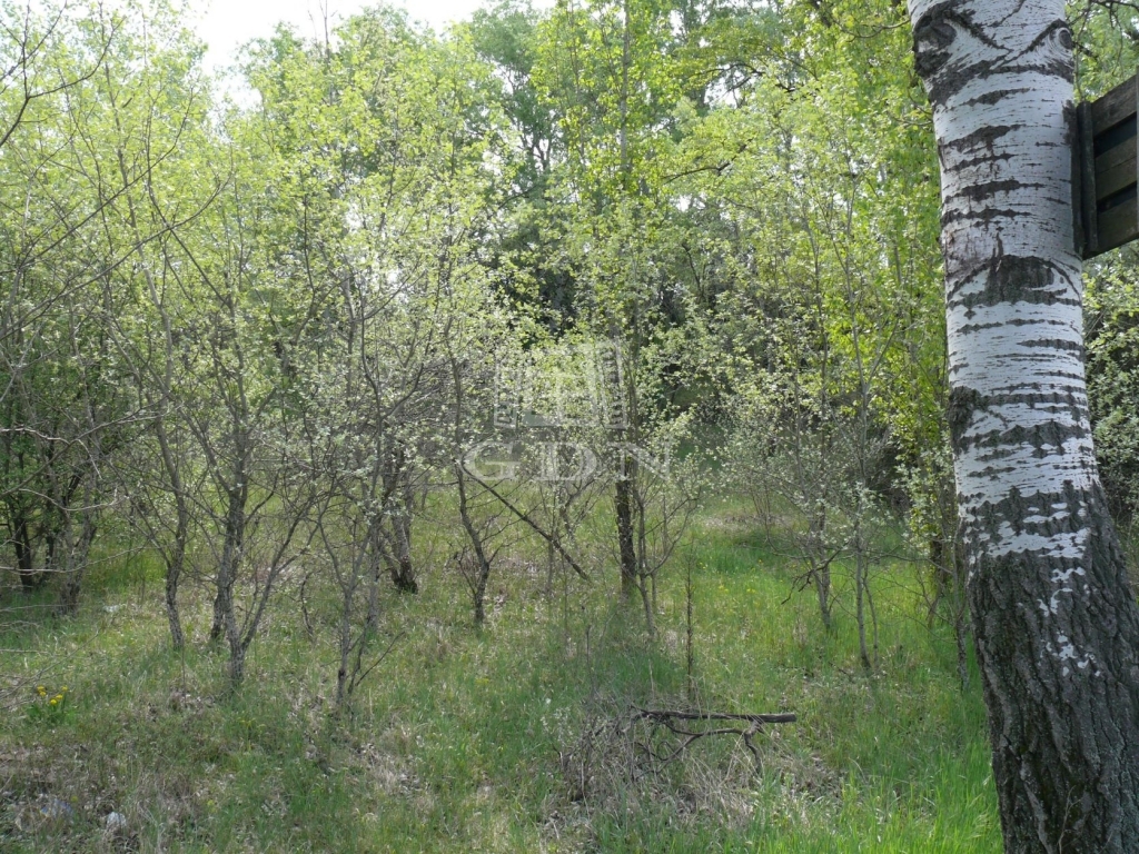 Verkauf Kecskemét Landwirtschaftliche Flächen