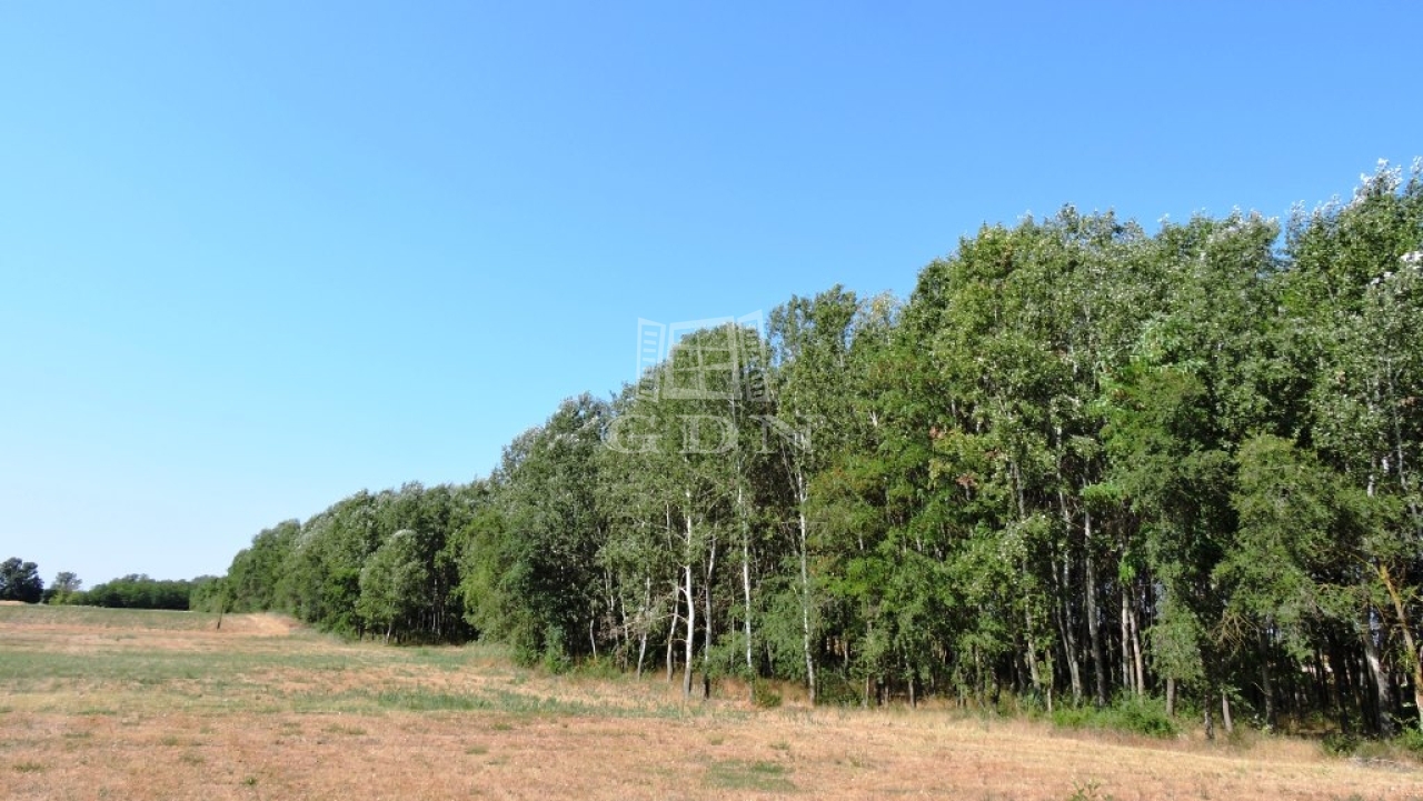 Vânzare Kerekegyháza Zona agricola